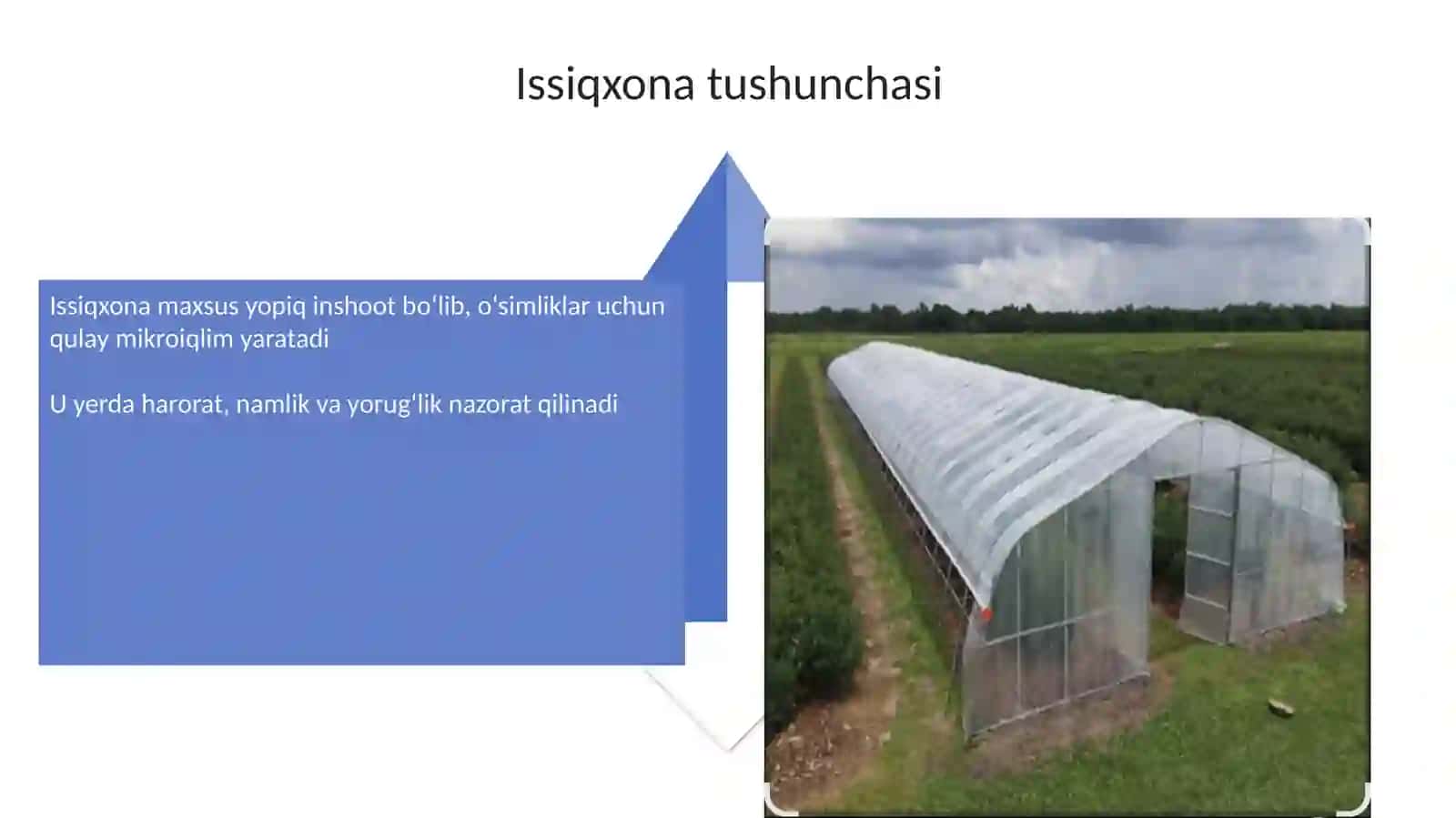 Mavzu: Issiqxonalar faoliyati,Aholini bandligi 4