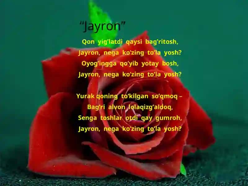 Muhammad  Yusuf  she`riyat  shaydolari  qalbida mangu  barhayot 4