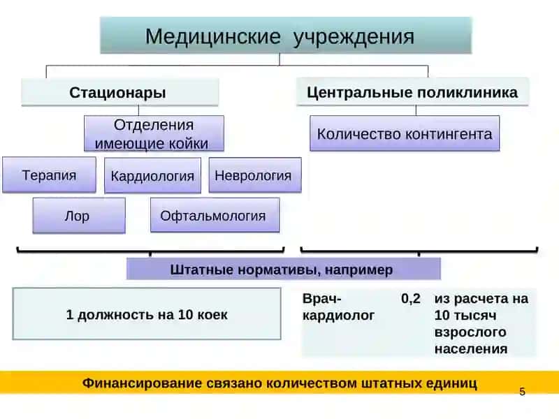 Лекция №1.3.Некоторые различия системы здравоохранения и организации здравоохранения различных стран мира 4