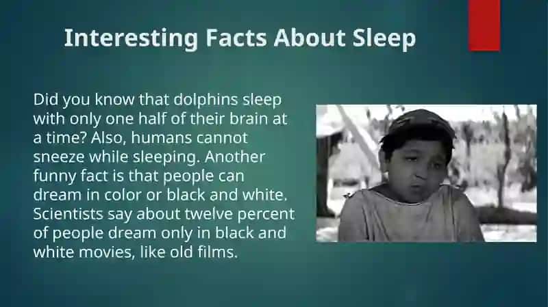 Talking About Sleep 4