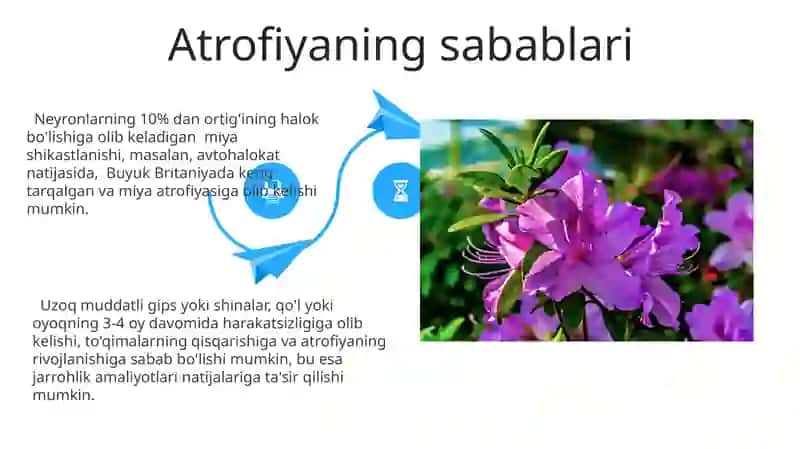 Atrofiya va uning turlari 4
