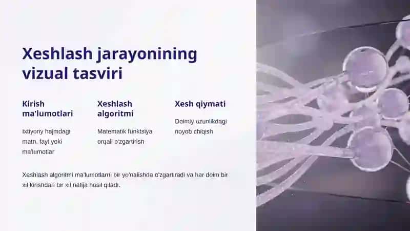 Ma'lumotlarni Xeshlash Algoritmlari: Asoslar va Amaliyot 4