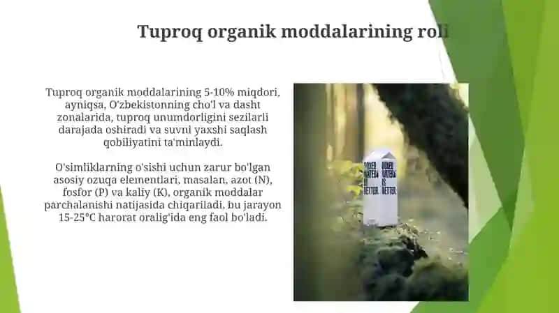 Tuproqlarning mineralogik va kimyoviy tarkibi, tuproqdagi organik moddalar 4