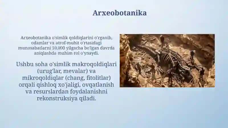 Arxeologiya fanining yordamchi tarmoqlari 4