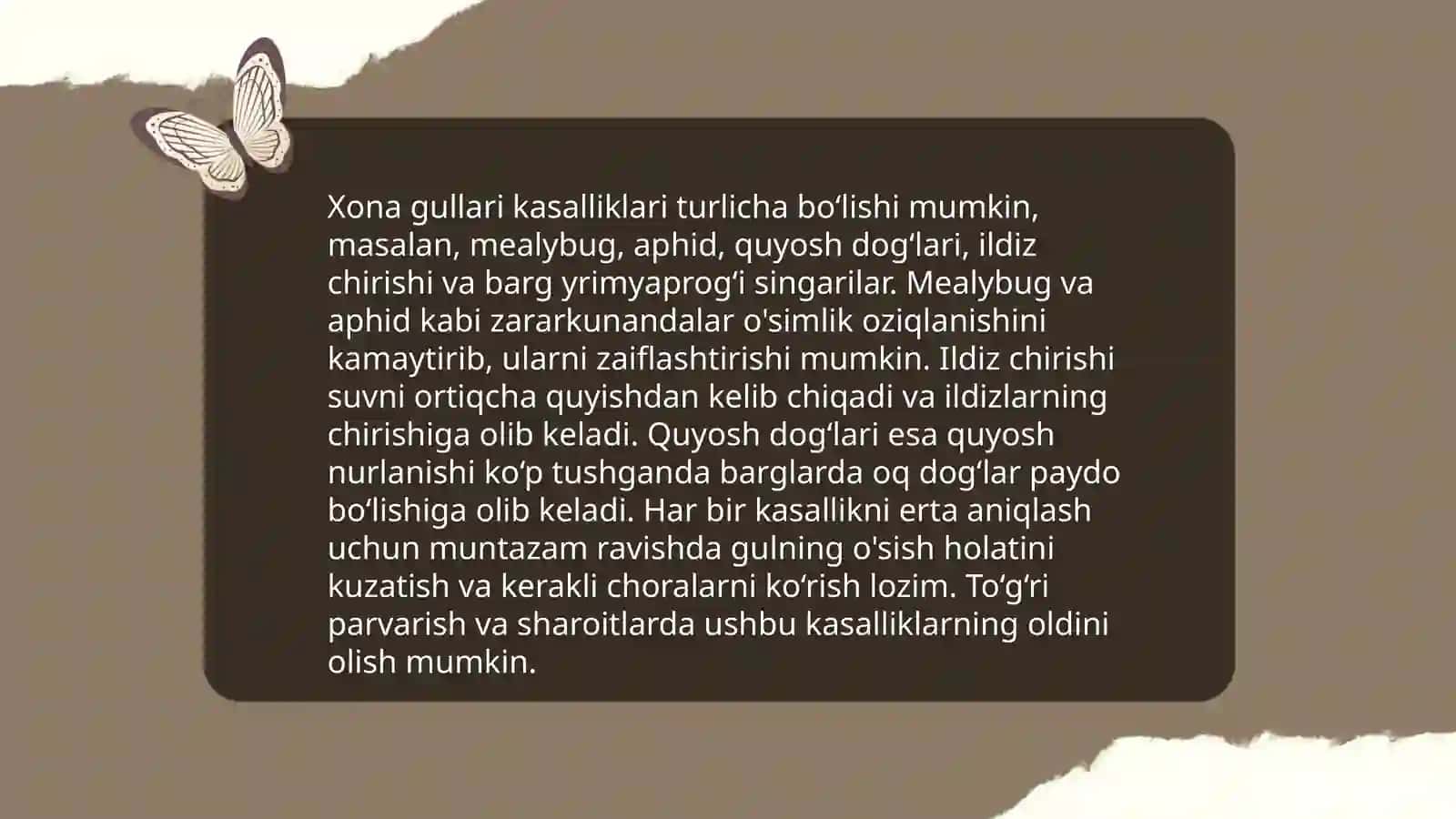 Tabiat burchagini tashkil etish 4