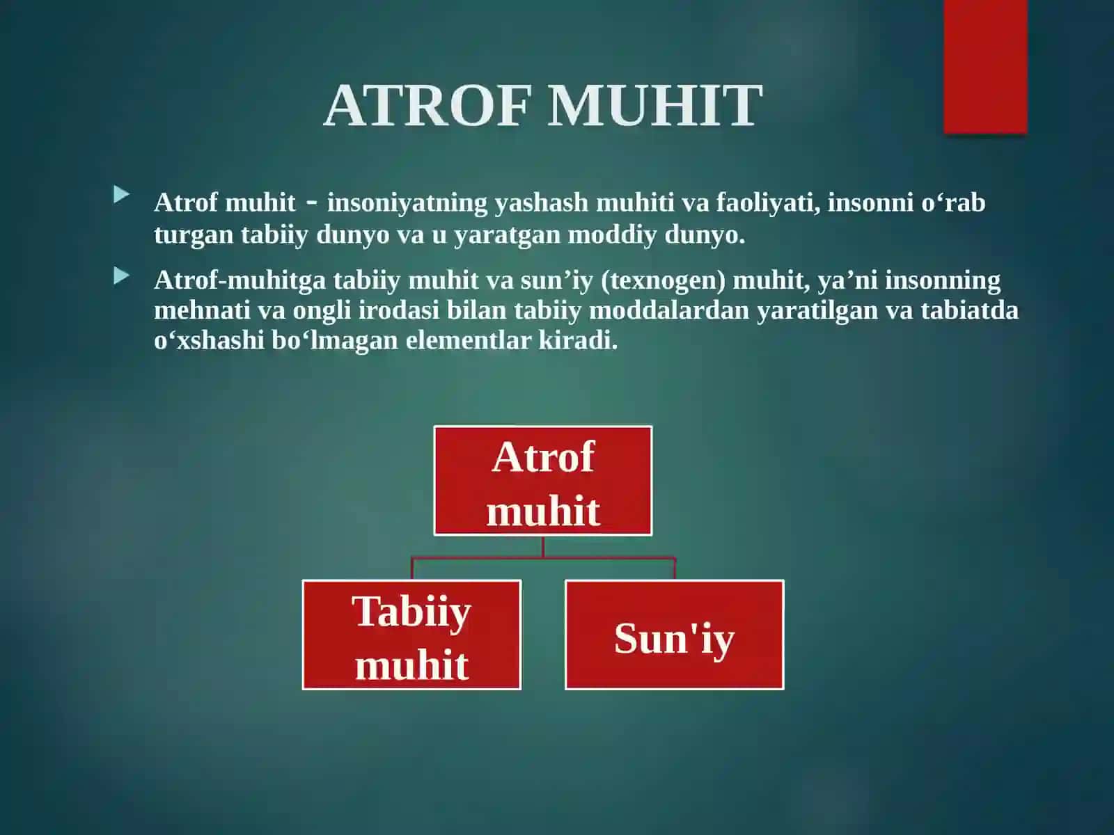 EKOLOGIYA VA ATROF – MUHITNI MUHOFAZA QILISH 4