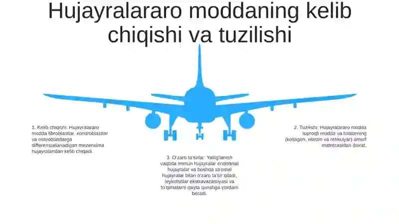 YalligʻLanish Reaksiyasi Vaqtida Hujayralarning OʻZaro Tasiri 4