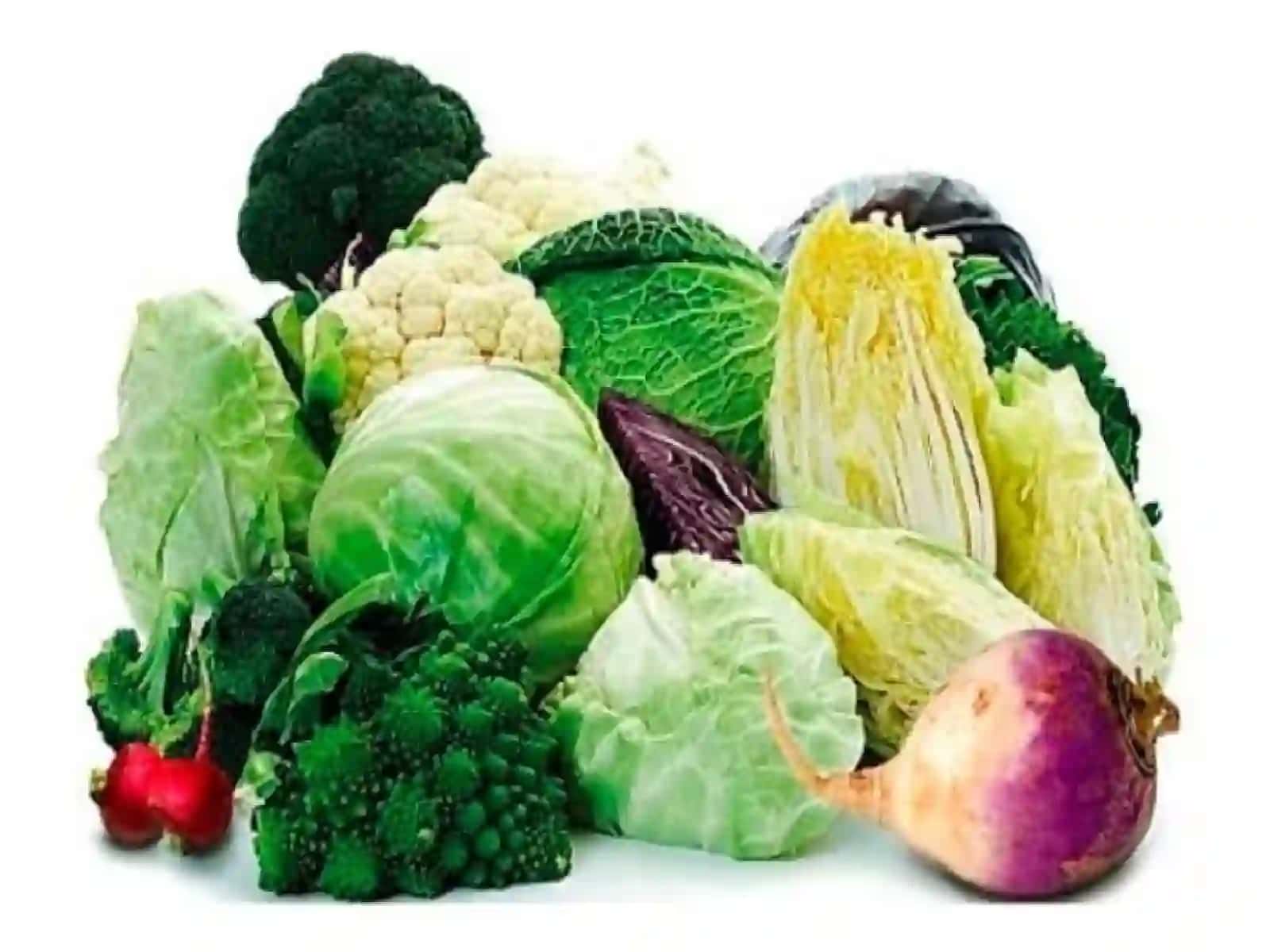 Karamdoshlar(Brassicaceae) oilasi turkumita turi 4