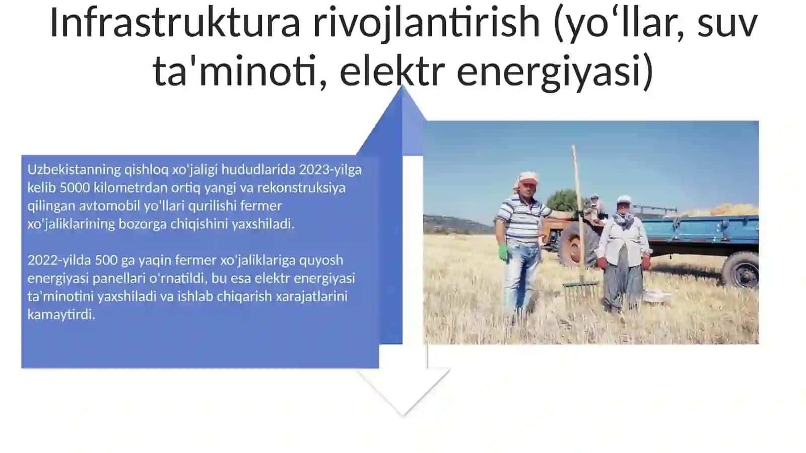 O'zbekiston dehqon va fermer xo'jaliklarini rivojlantirishning davlat dasturlari 4