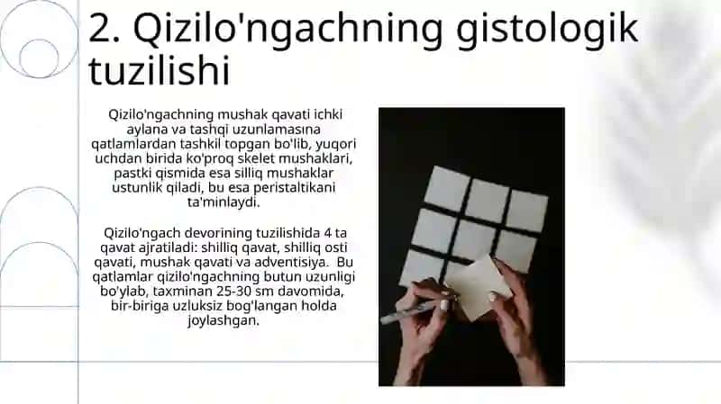 Nafas olish tizimi a'zolarining qiyosiy gistalogik tavsifi 4
