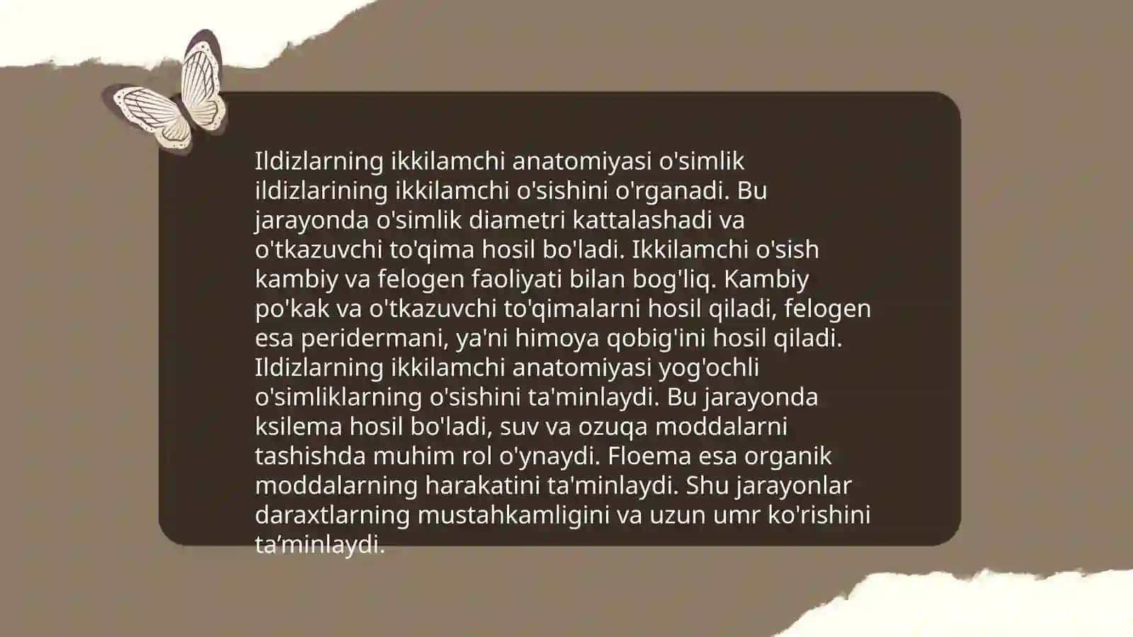 Ildizlarning birlamchi va ikkilamchi anatomik tuzilishi 4