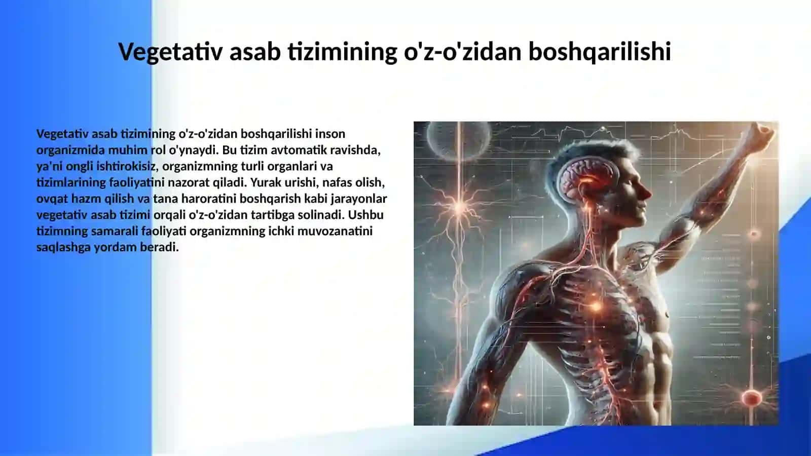 Vegetativ asab tizimi fiziologiyasi 4