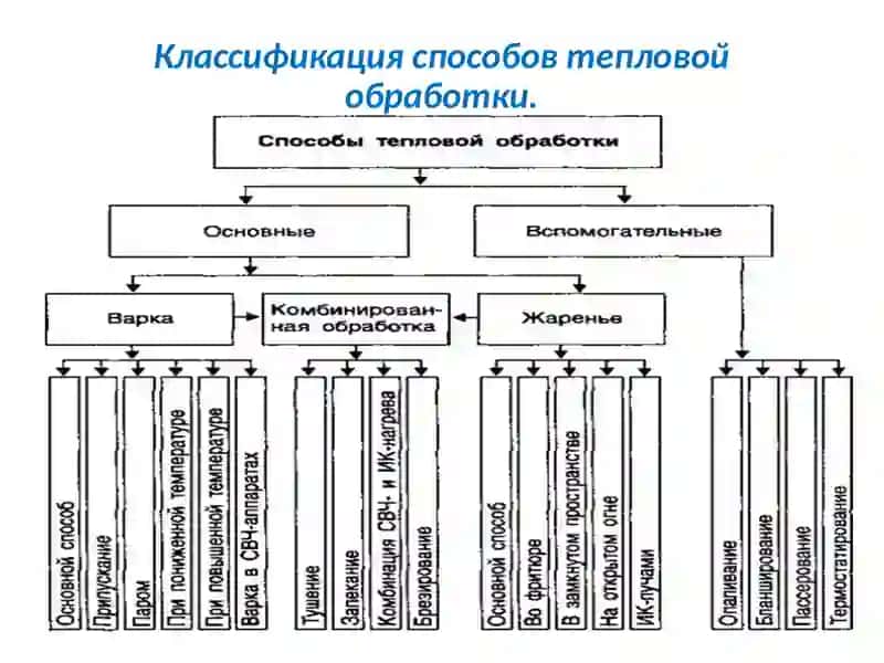 ВЛИЯНИЯ ТЕМПЕРАТУРЫ НА ПРОЦЕССЫ ПИШЕВАРИНИЯ 4