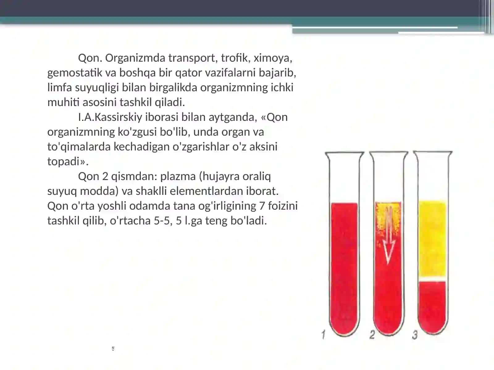 Gemoglobinga oid patofiziologiya 4