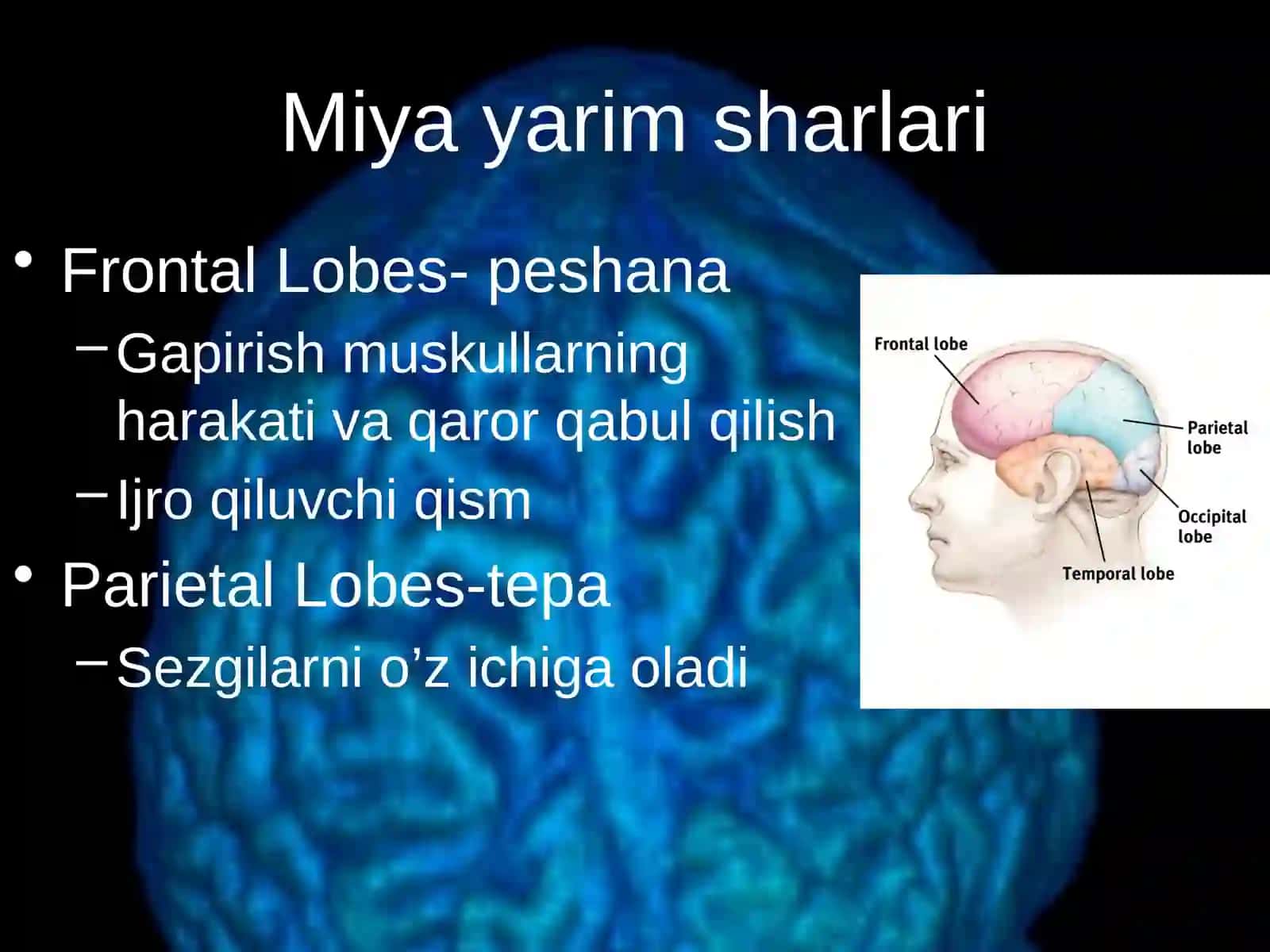 Boshmiyavauningtuzilishi 4