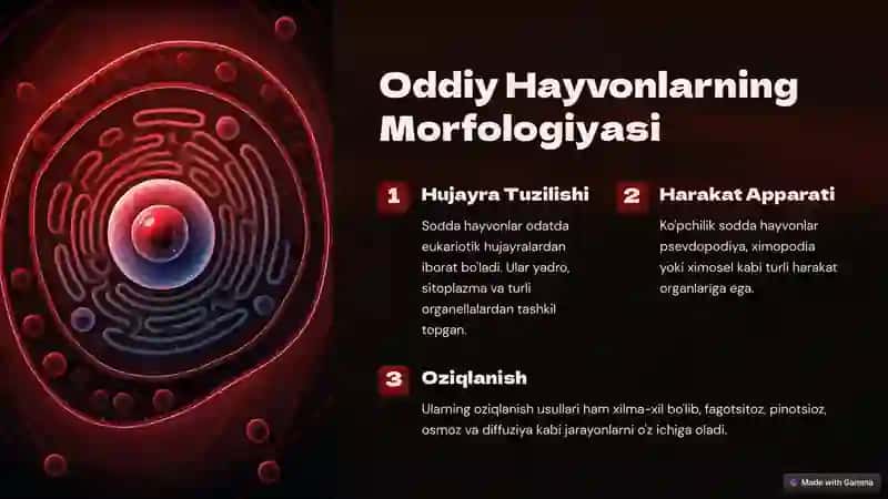 Zamburug'lar va Sodda Hayvonlar 4