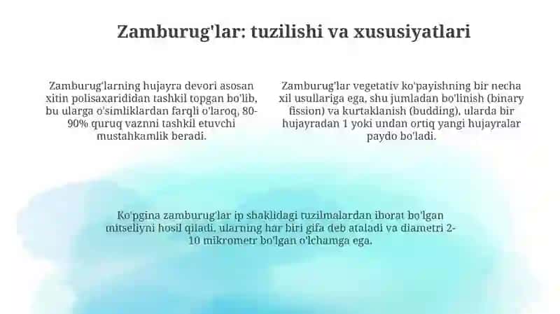 Mikoplazmalar, xlamidiyalar, spiroxetalar va zamburug'lar morfologiyasi 4