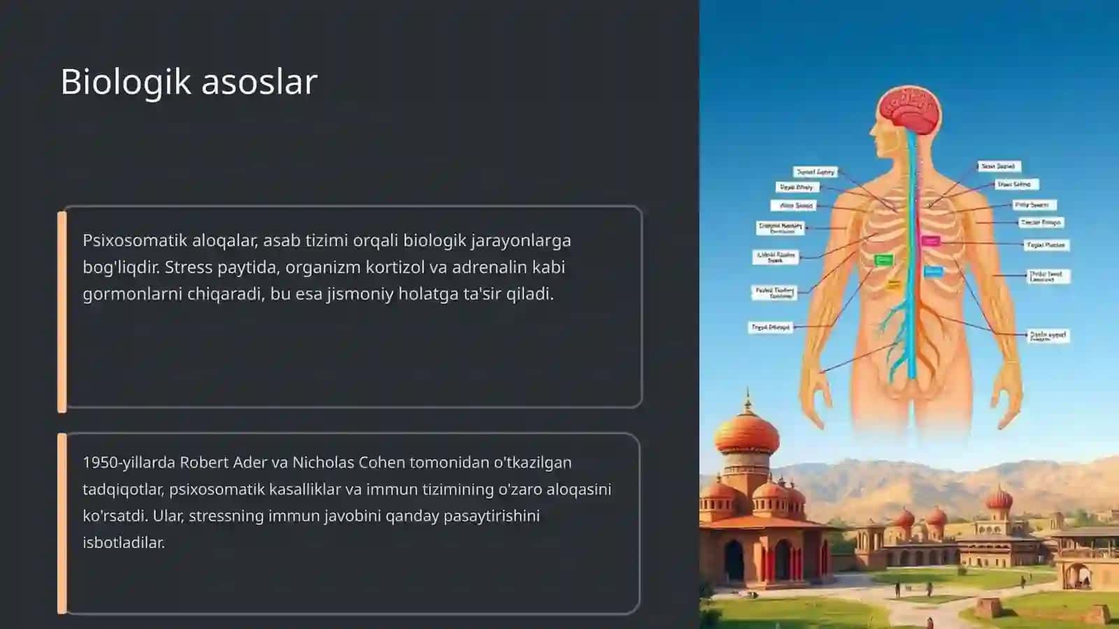Psixosomatik aloqalar:nazariy asoslari 4