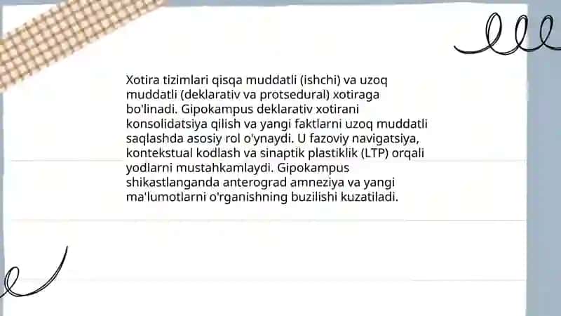 Psixik jarayonlar va miyaning oʻzaro aloqadorligi 4