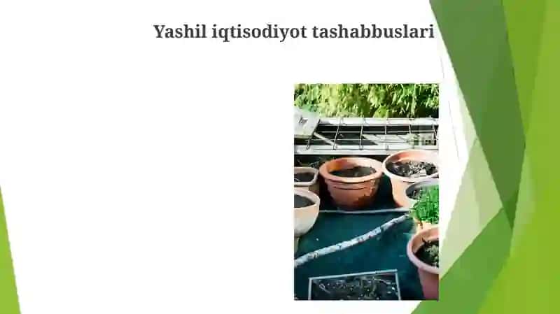 Mintaqaviy iqtisodiyotda ekologik barqarorlik 4