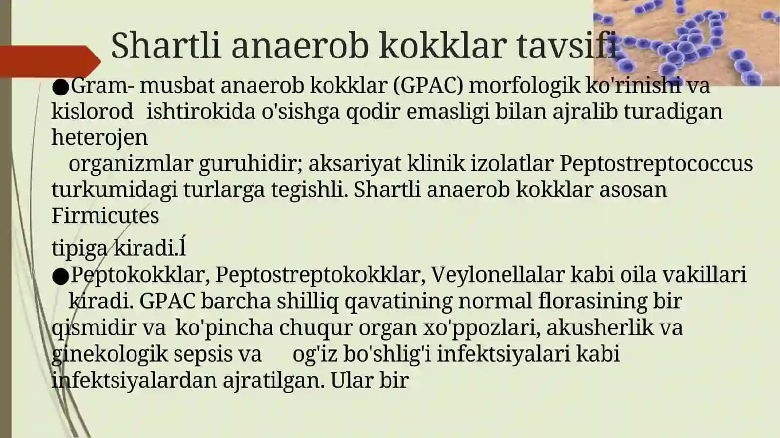 Shartli patogen anaerobkokklarni (peptokokklar, peptostreptokokklar, veylonellalar) ularni xirurgik va ginekologik kasalliklardagi ahamiyati 4