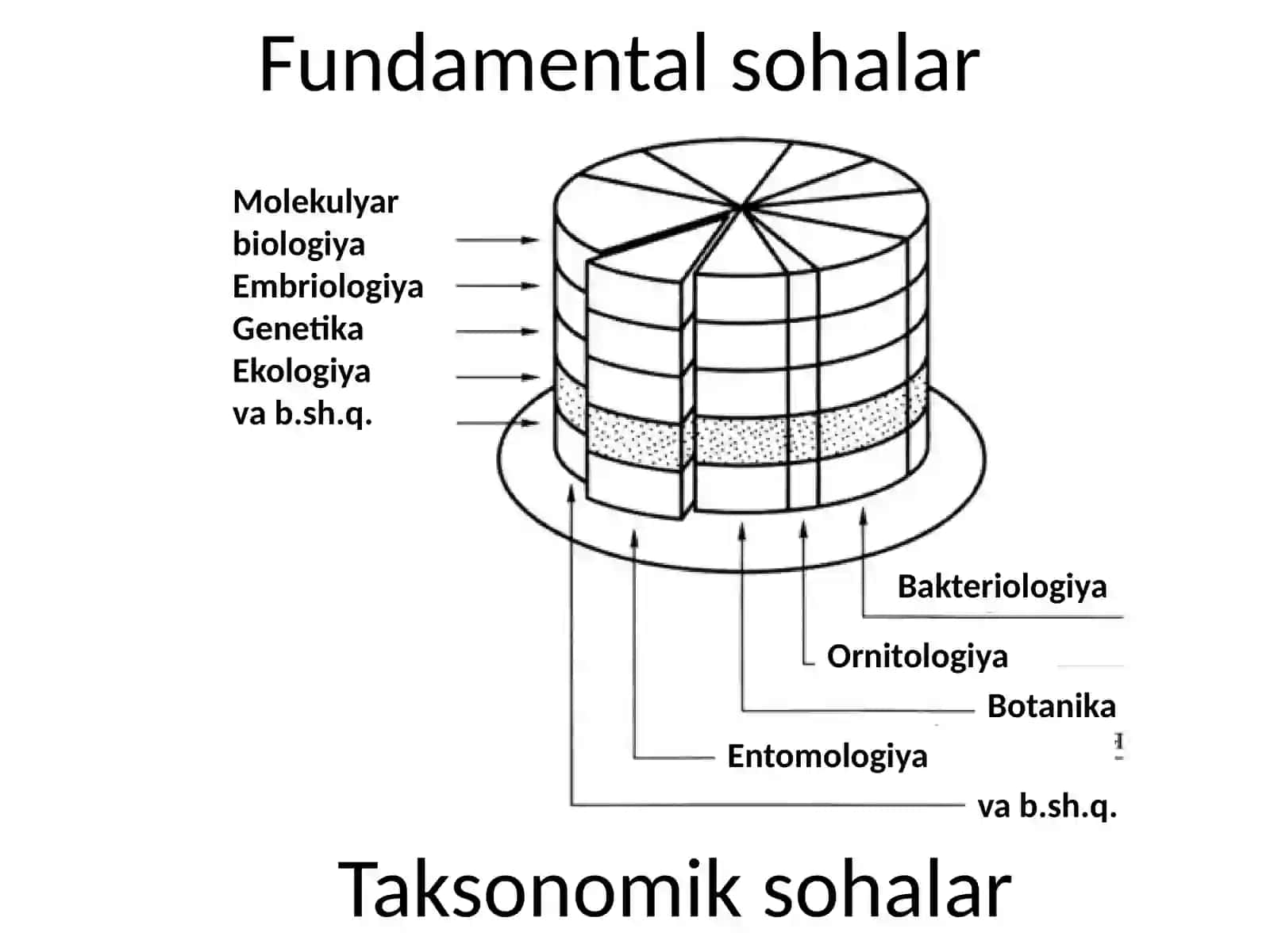 Maruza.Kirish. Biologiya faning vazifalari, obyekti 4