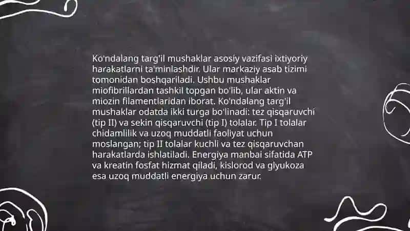 Siliq va ko'ndalang targ'il mushaklar Fiziologik farqlari 4