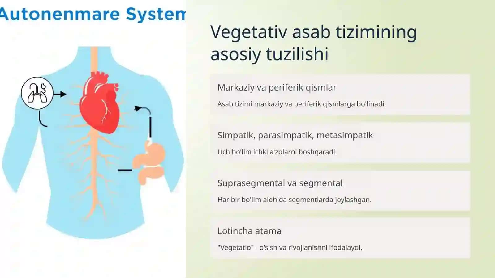 FIZIOLOGIYA FANIDAN TAYYORLAGAN TAQDIMOTI 4