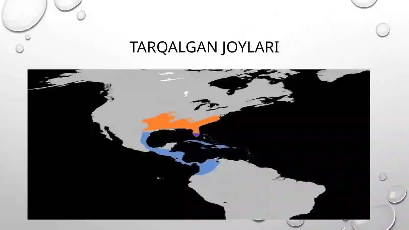 Bevaayol 4