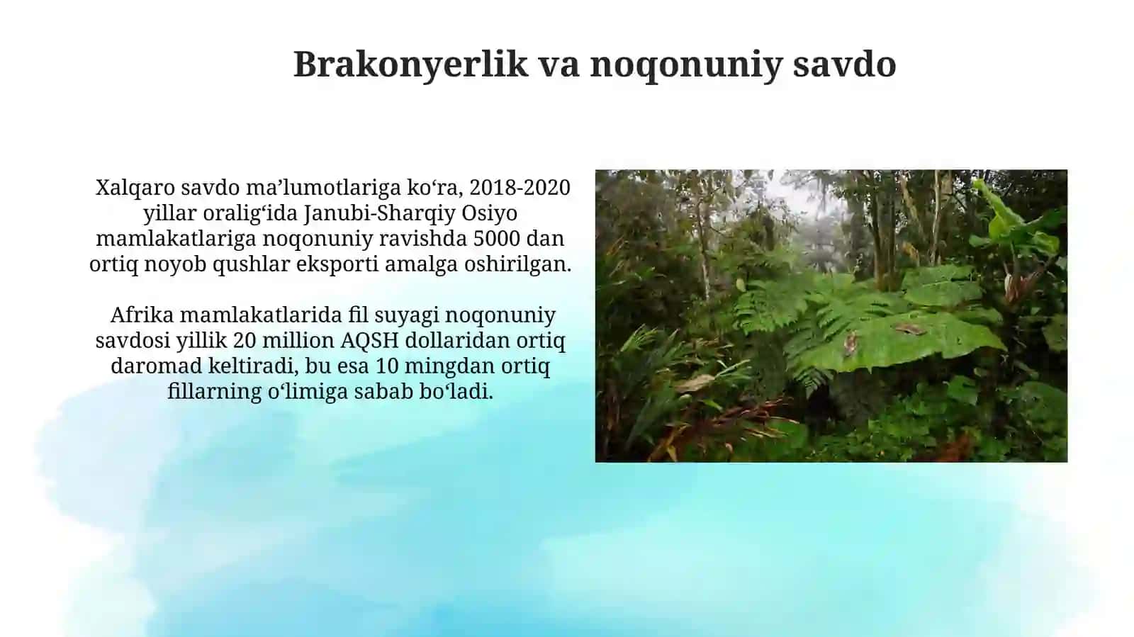 Inson faoliyati ta'sirida yer yuzida ko’plab flora va fauna vakillarining yoʻqolib borayotgani 4