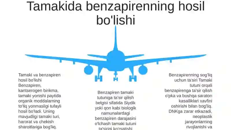 Tamakidagi Benzapirenning O'Pkada Neoplastik Jarayonlar Rivojlanishidagi Ahamiyati 4