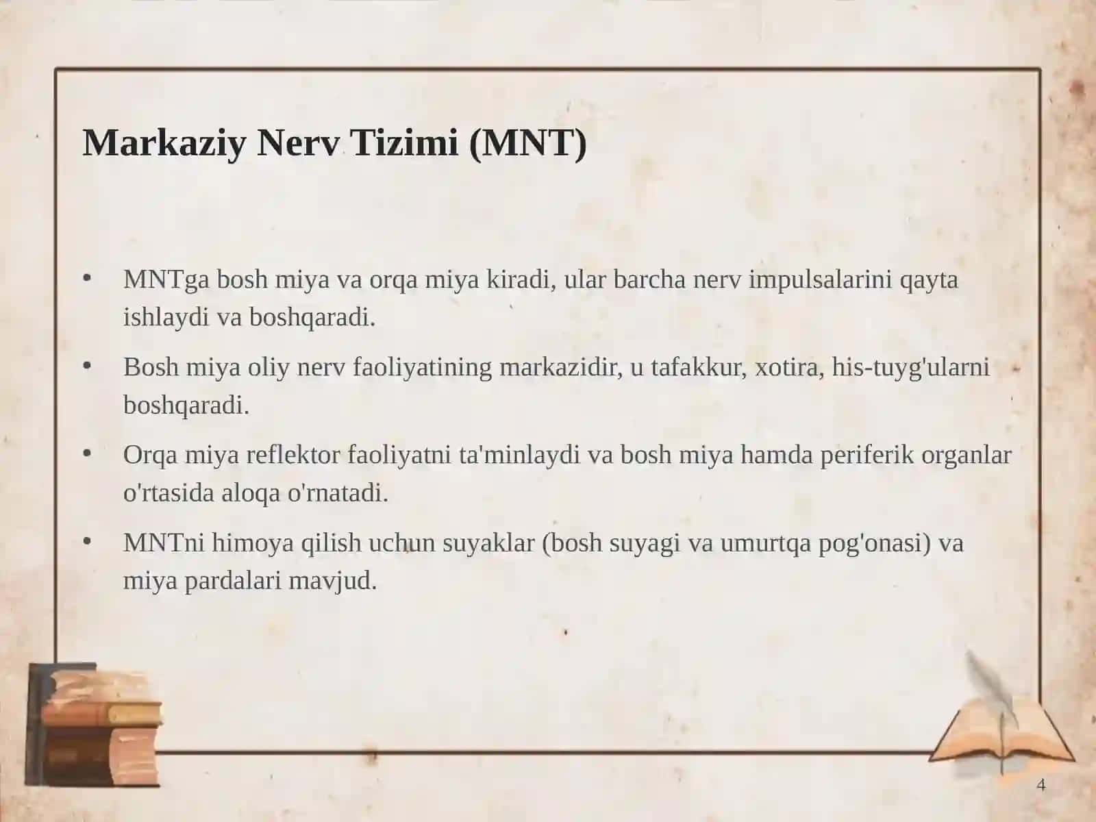 Nerv Tizimi: Umumiy Tasnifi va Taraqqiyot 4