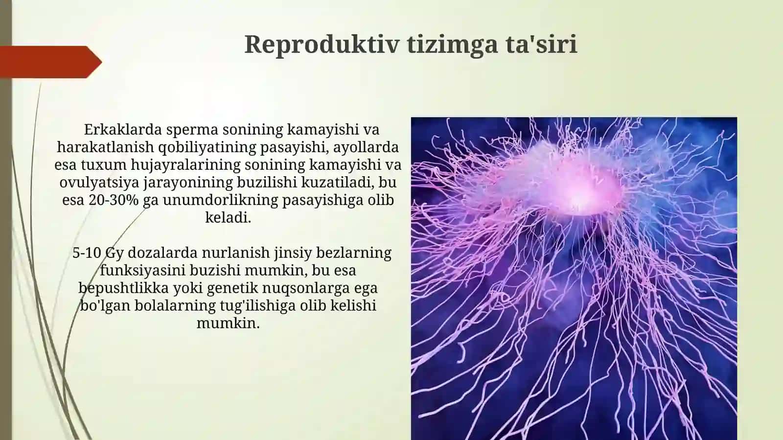 Ionlashtiruvchi nurlar biologik to'qimalarga ta'sirini oldim 4
