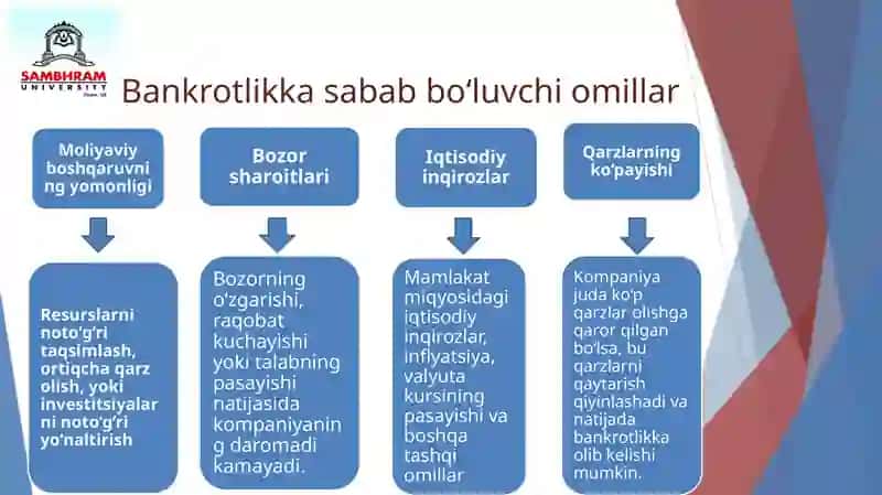 Biznesh uquqlarini subyektlarining bankrotligi 4