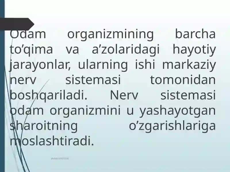 Nervsistemasiningahamiyativauninggigiyenasi 4