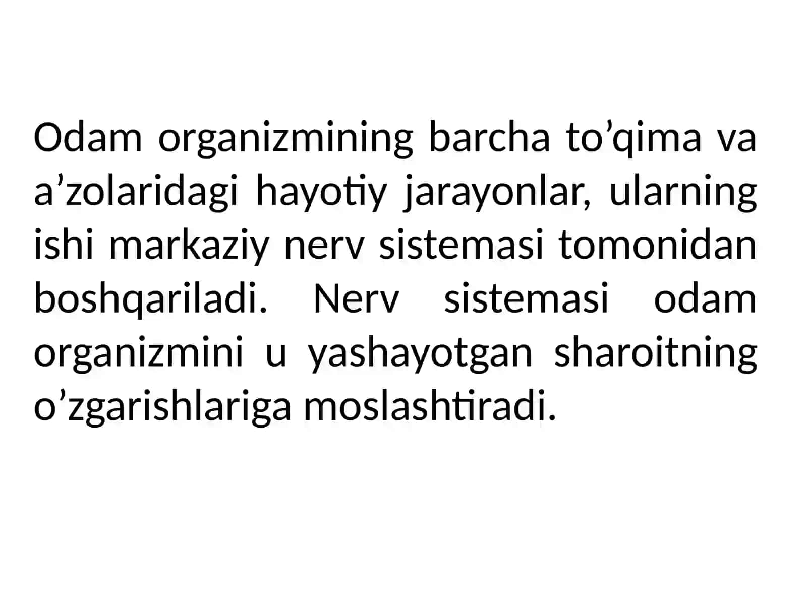 Nerv sistemasining ahamiyati va uning gigiyenasi 4