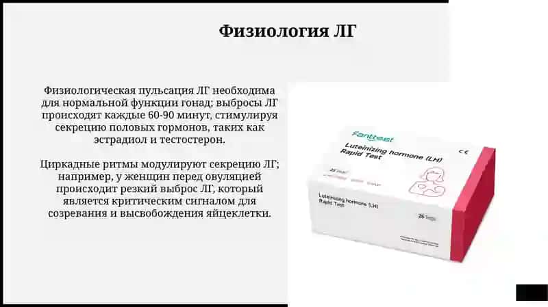 Лютеинизирующий гормон 4