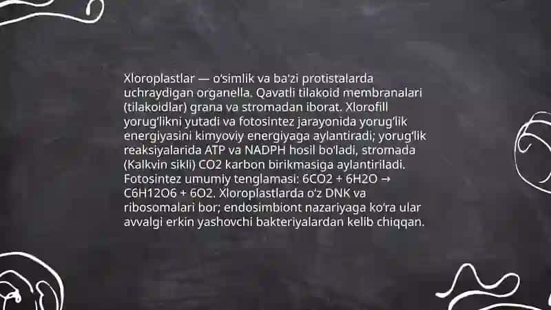 Hayvon va o‘simlik hujayrasining farqlari 4