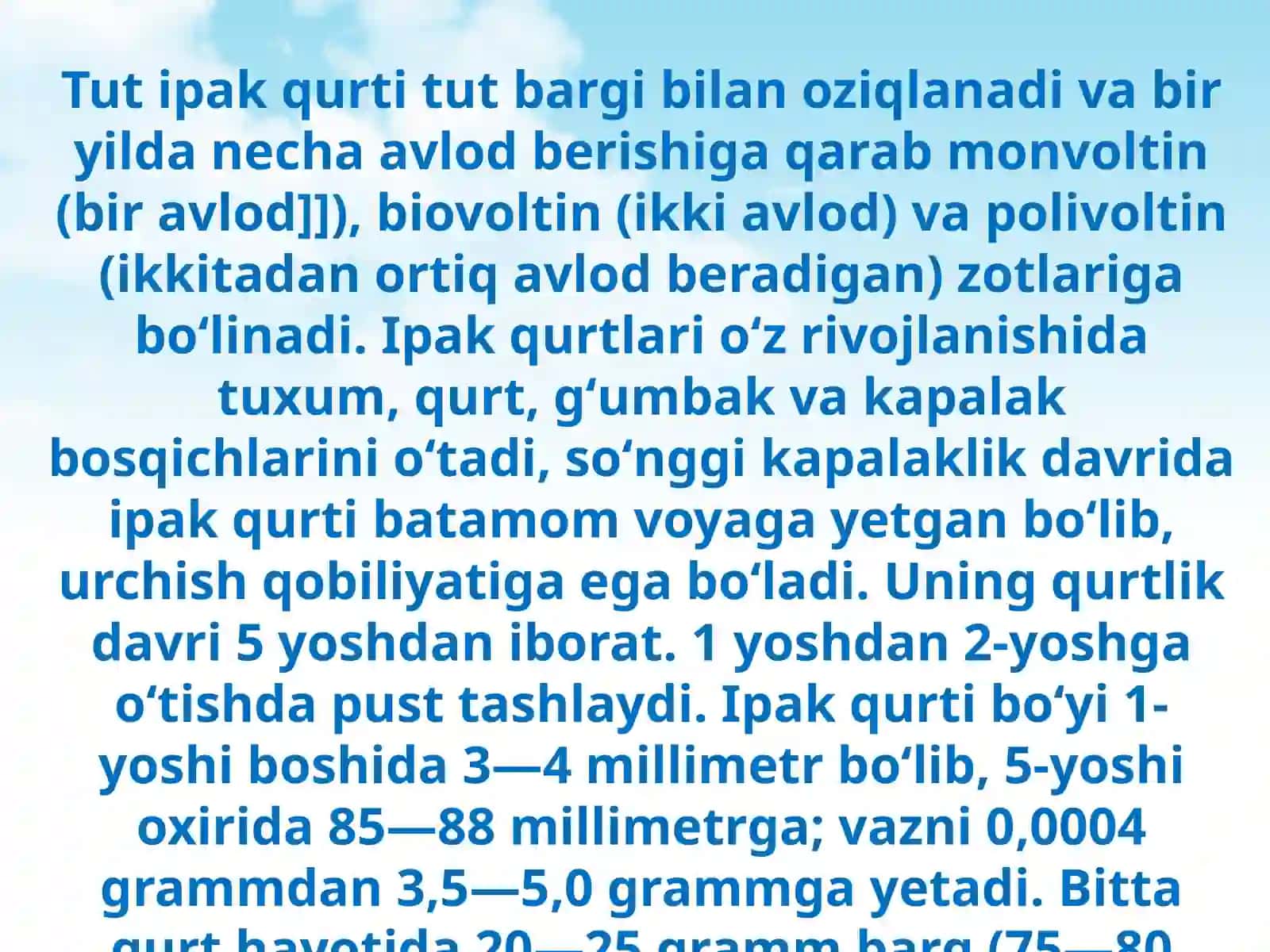Ipak qurti haqida 4