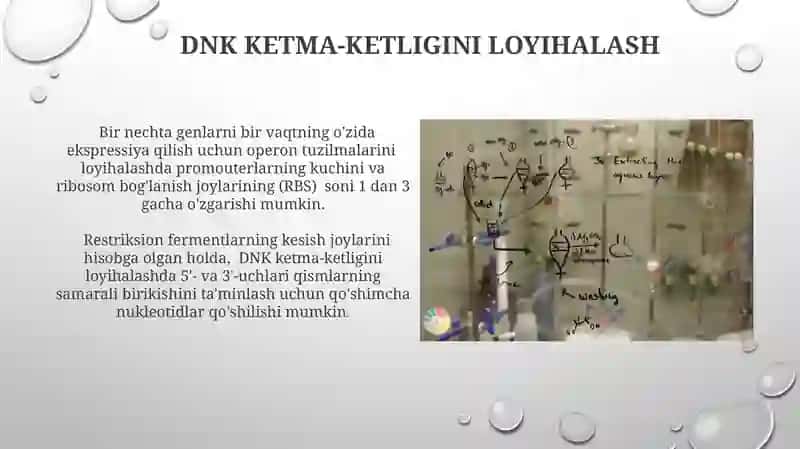 Gen muhandisligi yordamida noyob oqsillarni sintezlash 4