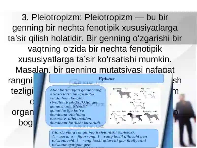 Noallel Genlarning O‘zaro Ta’siri va Poliduragay Krosslarida Xulosa 4