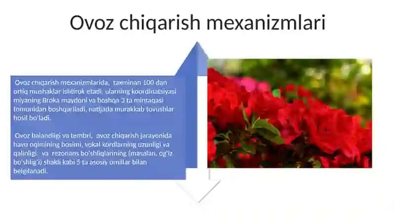 Ovoz berish turlari 4