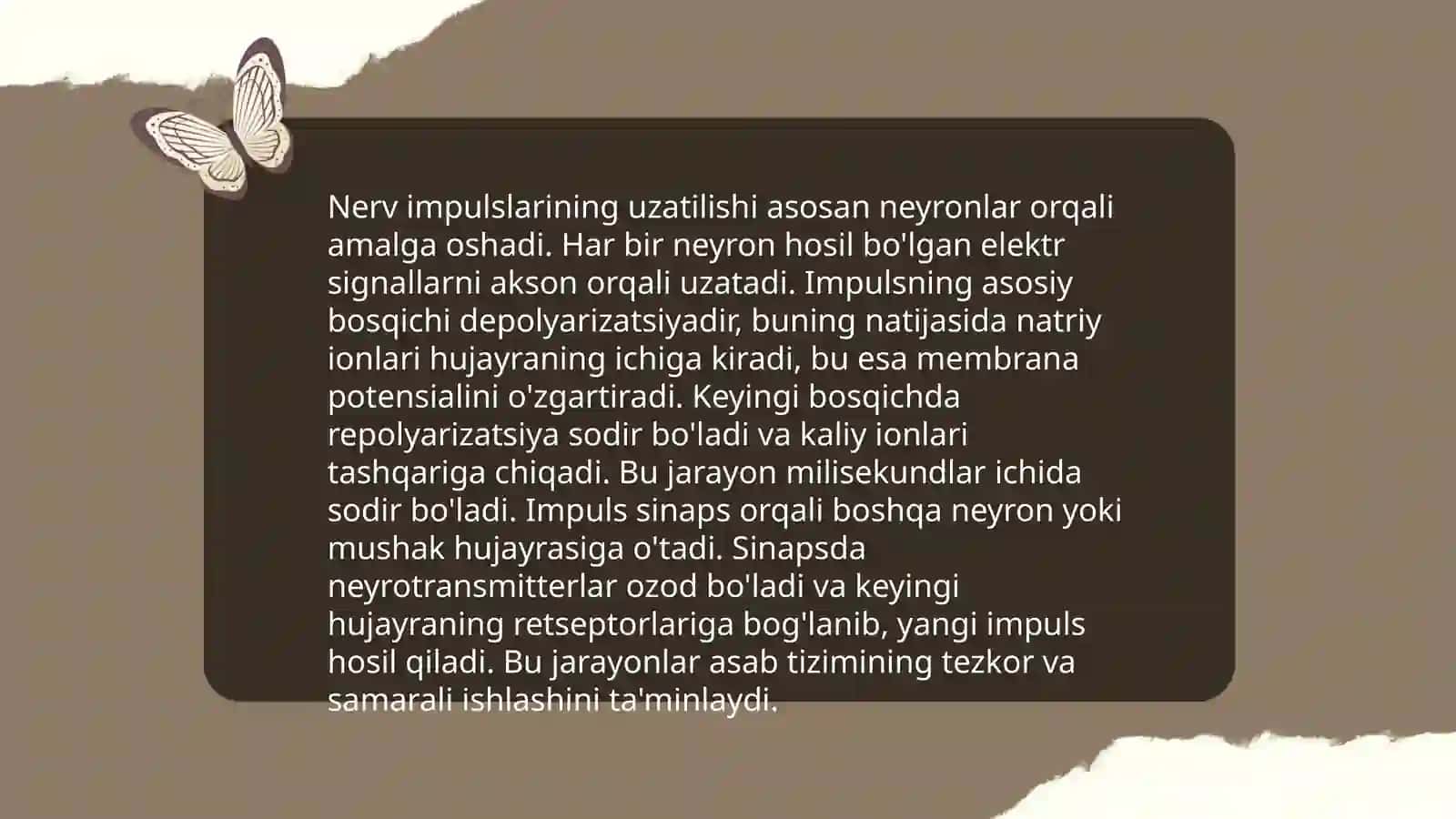 Nerf oxirlari reflektor yoyi tuzilishi 4