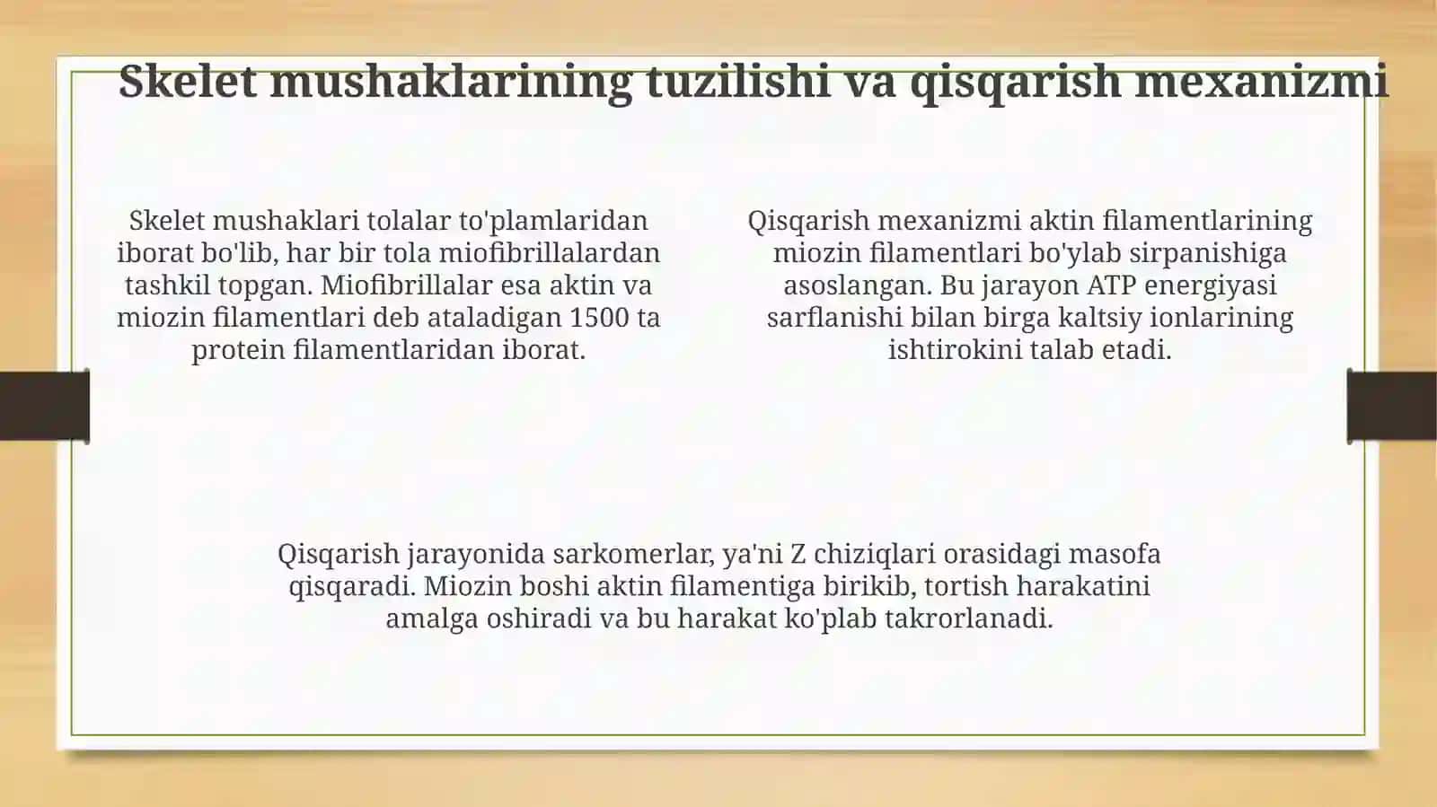 Muskullarsistemasi 4