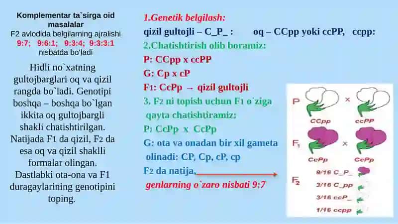Noallel genlarning o`zaro ta`siri 4