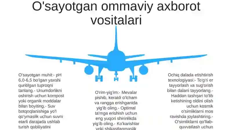 Ochiq Maydon Uchun KoʻChat Yetishtirish Texnologiyasi 4