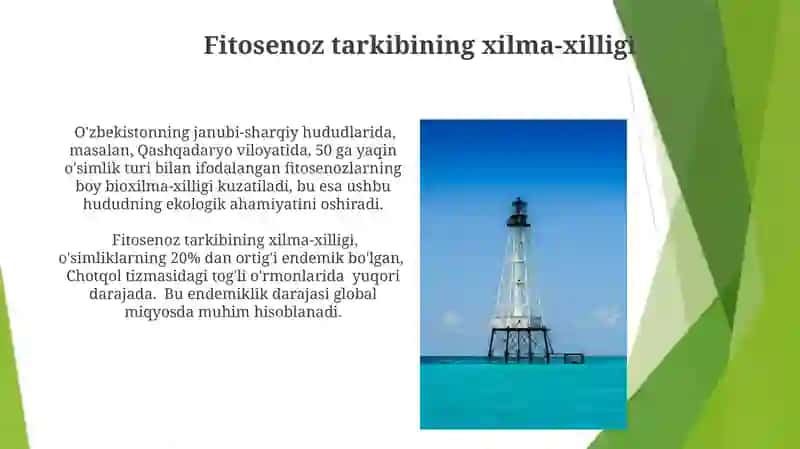 Fitosenozning tuzilishini o’rganish 4