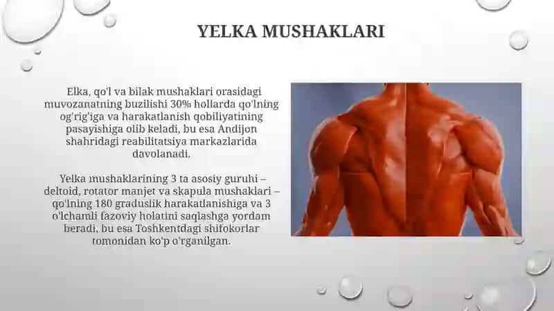 Chanoq, son, boldir va panja mushaklari 4