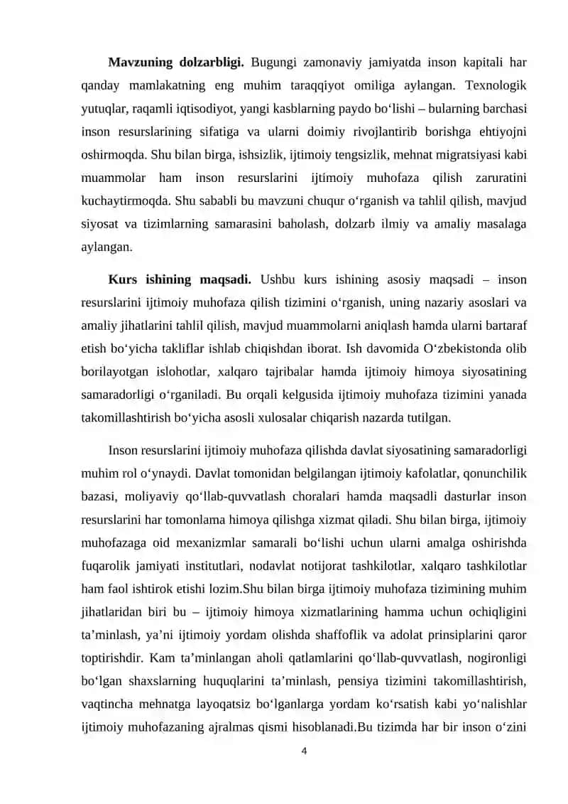 Inson Resurslarini Ijtimoiy Muhofaza Qilish 4