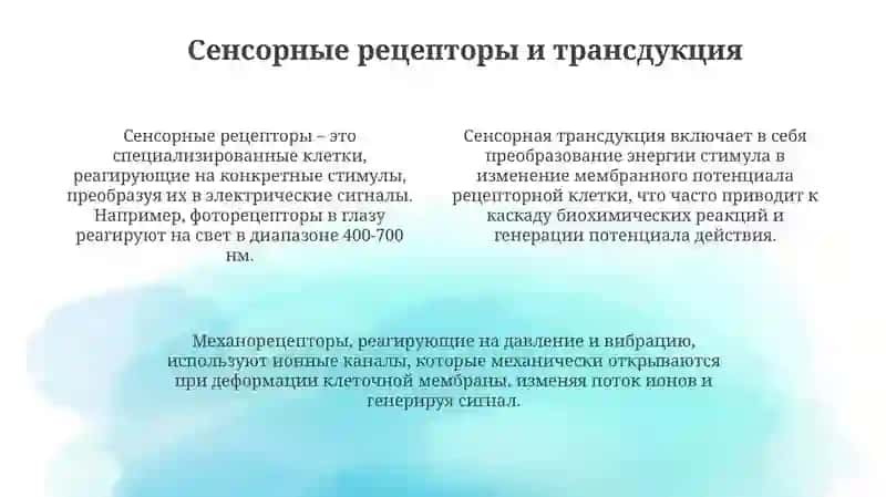 Ошущение 4